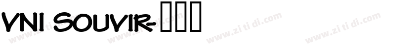VNI Souvir字体转换
